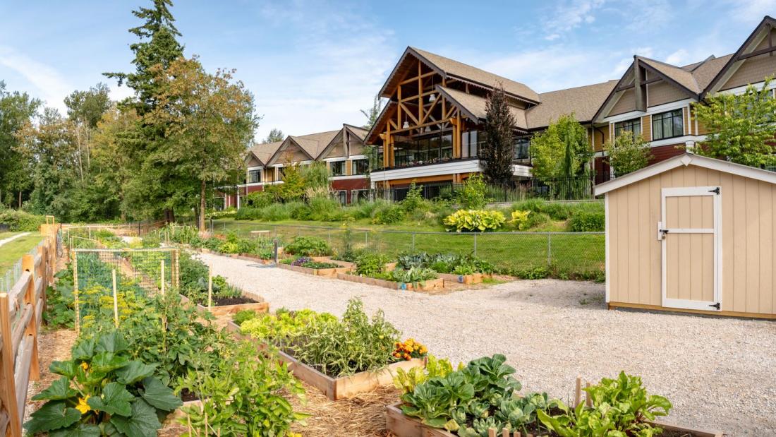 Community garden plots with townhouses in background