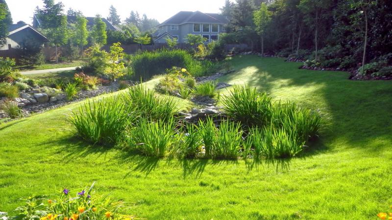 Integrated Stormwater