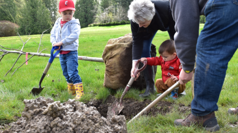 A parent helping their baby shovel dirt to plant a tree.