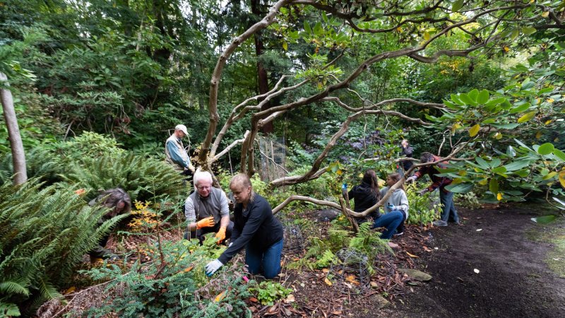 group of volunteers working in a garden bed