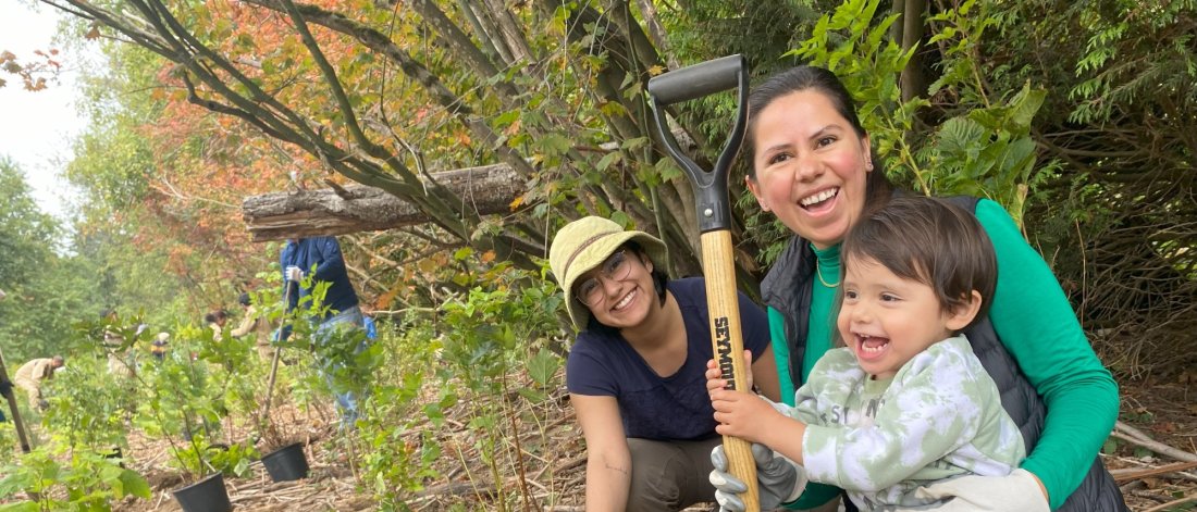 tree planting