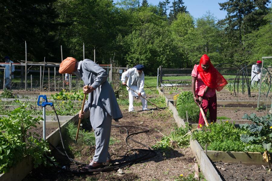 3 gardeners work on plots
